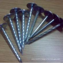 Steel Roofing Nails (made in China)